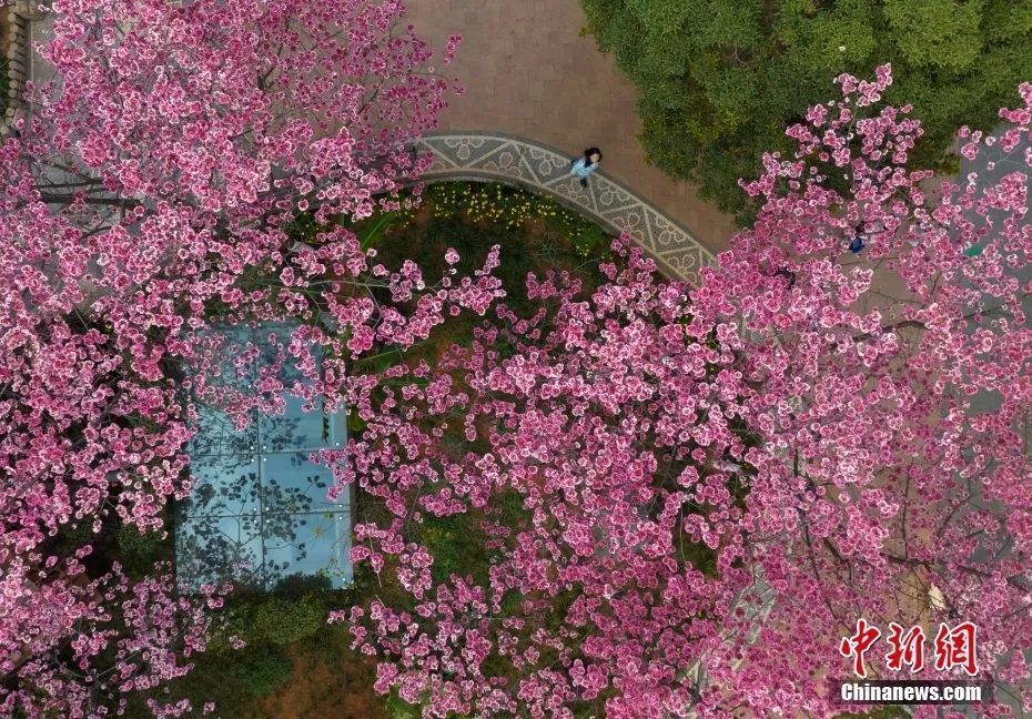 安庆市国家历史文化名城名单,西安历史文化名城保护规划