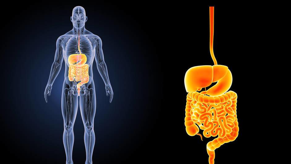 常吃油条有哪些危害,吃油条对身体有什么害处