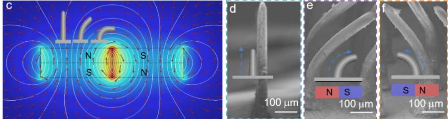 飞秒激光器激光强度改小可以吗,飞秒脉冲激光实现多光子吸收