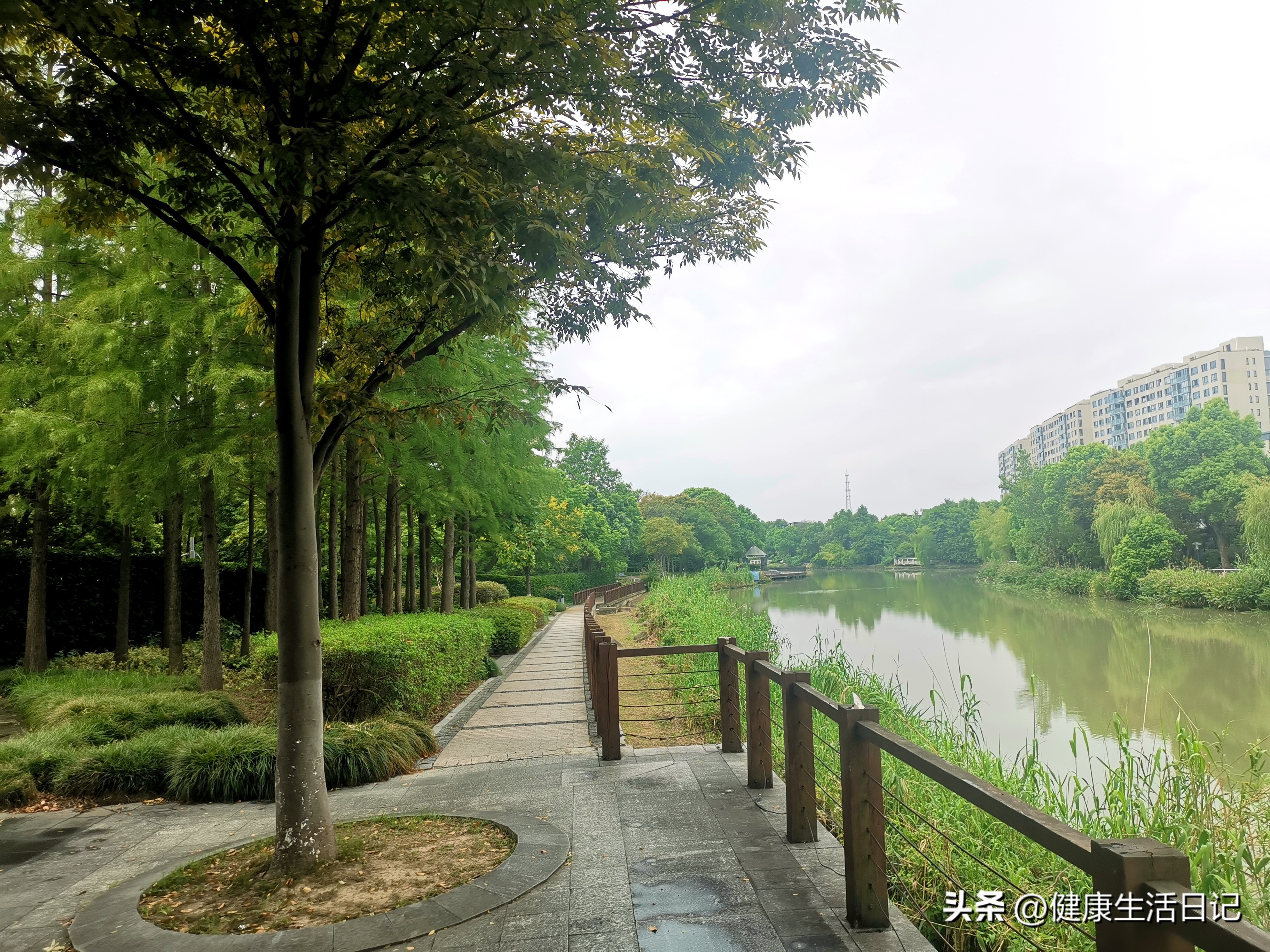 上海三林的公园,上海浦东三林公园在哪里