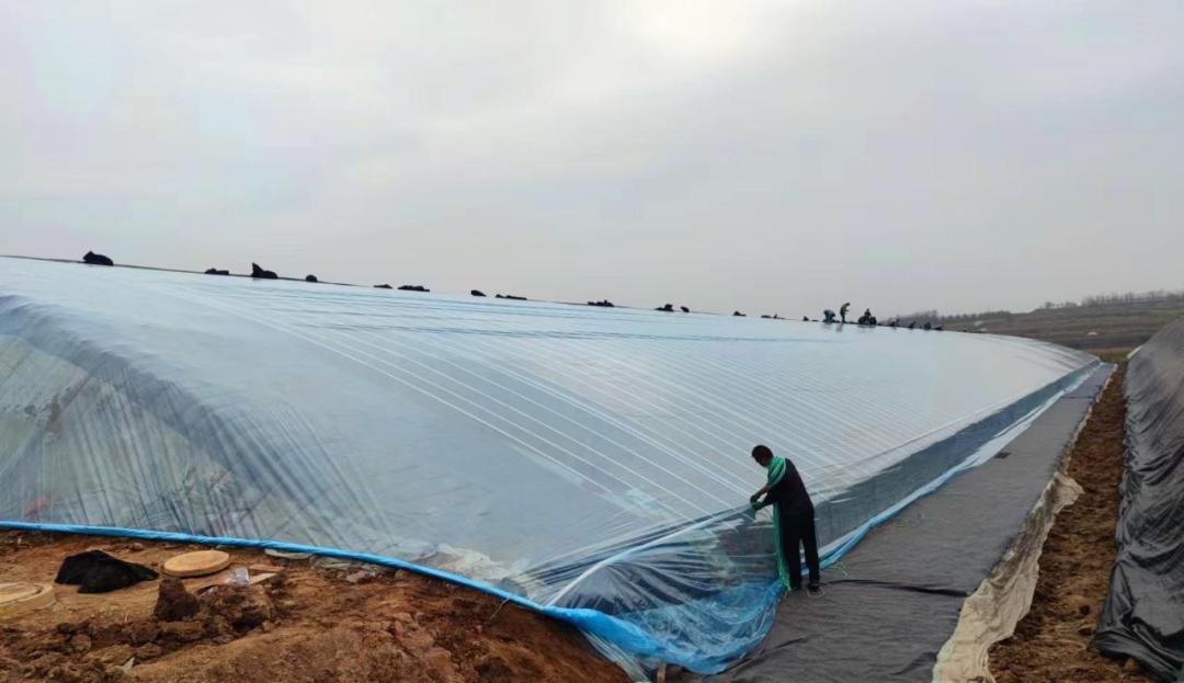 临朐县柳山镇系好致富路上的“红·领·带”