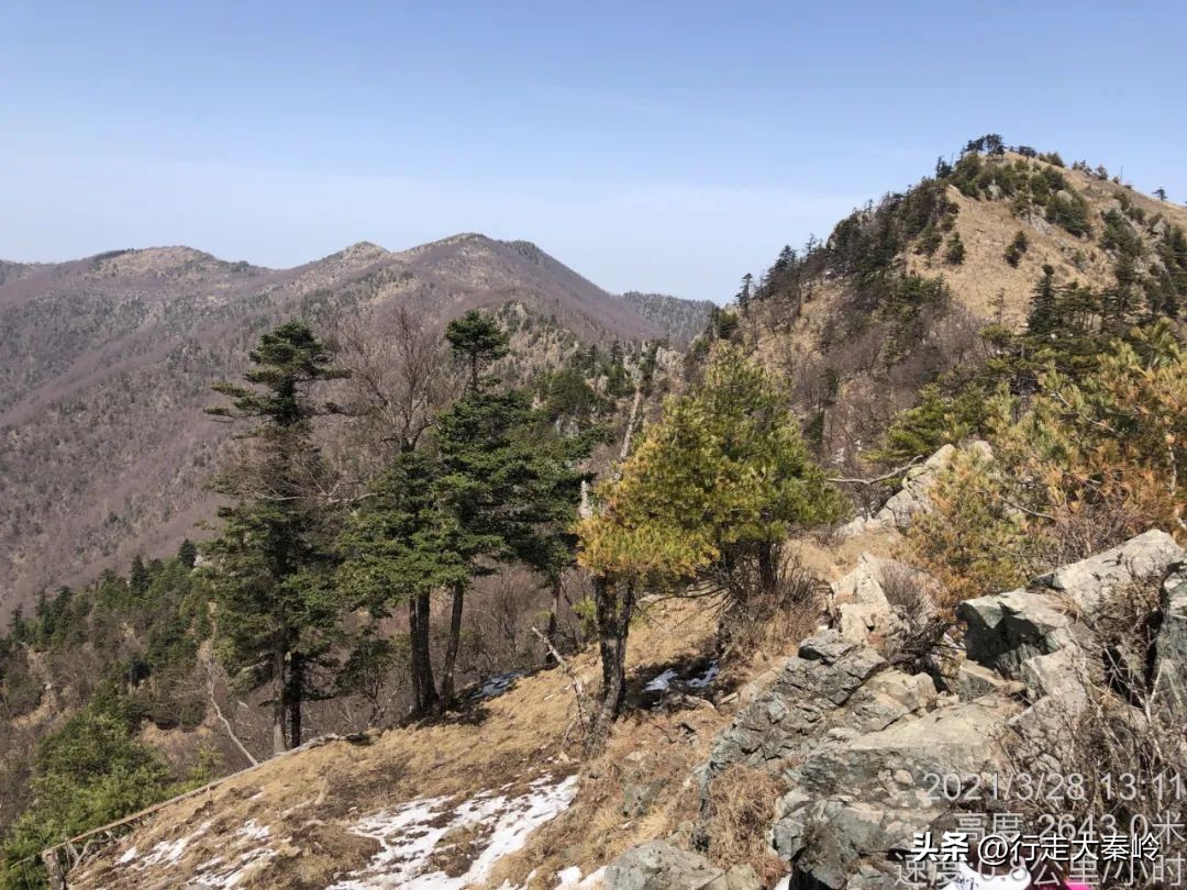 首阳山穿越大坪梁景色怎么样,大坪梁穿越到首阳山攻略