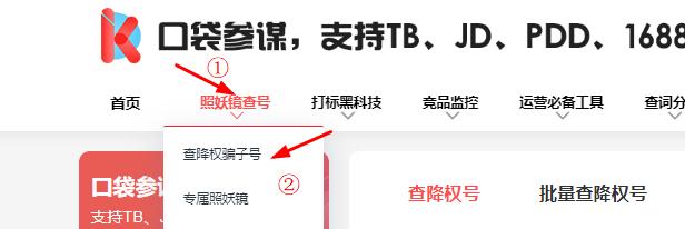 口袋参谋生意参谋指数转换,口袋参谋怎么查看竞争对手销量