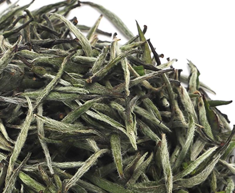 春茶季带你选好茶,春茶上市如何挑选好茶