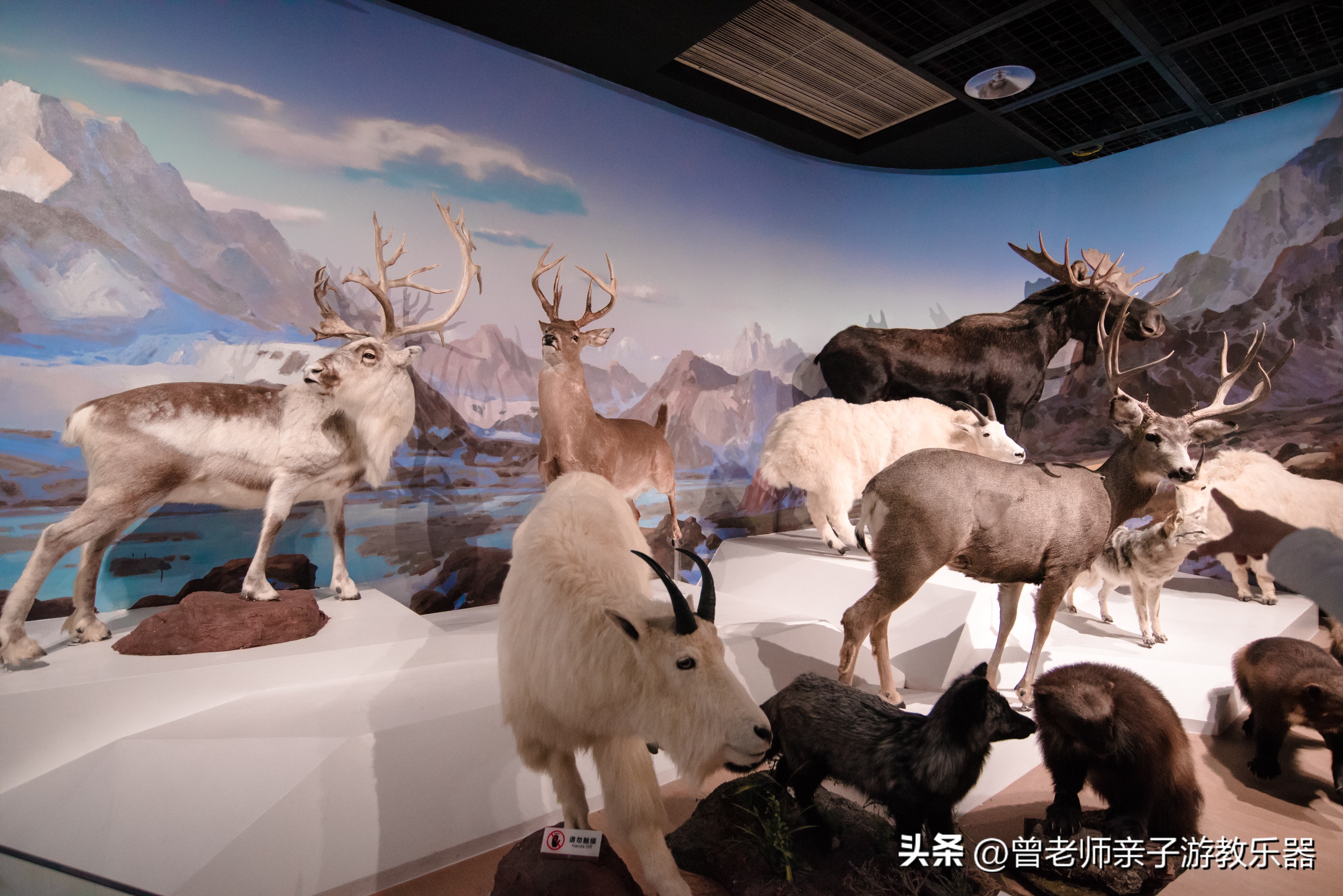 西安出发自驾亲子游,西安亲子游十大排名