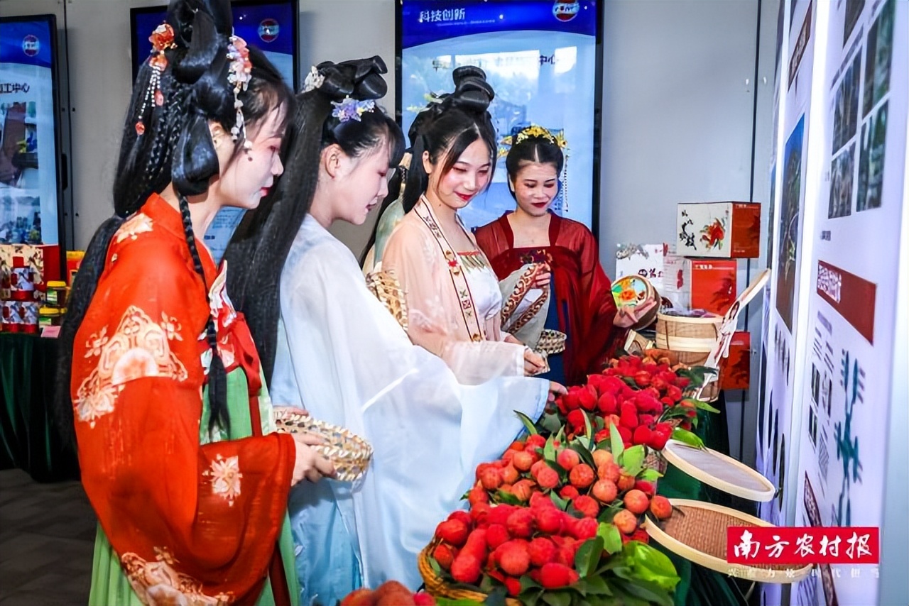 涔℃潙鎸叴浠庡寲鑽旀灊,宀崡鑽旀灊涔℃潙鎸叴