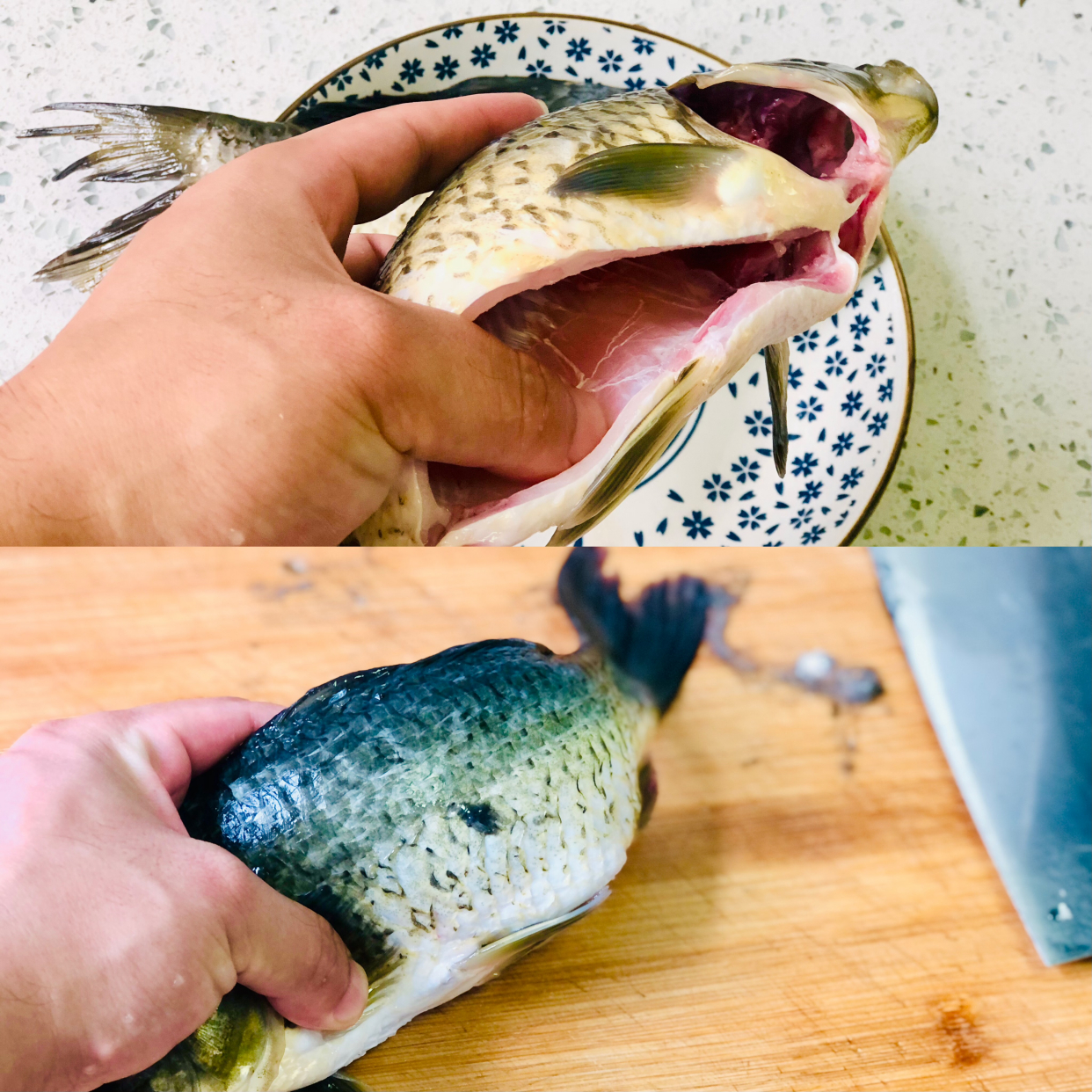 秋天炖汤食谱大全补气血,秋天喝鱼汤怎么炖好喝