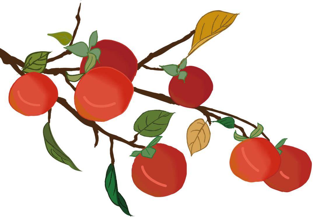 四时如歌|碧水惊秋，黄云凝暮，佳节又重阳