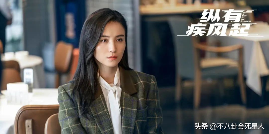 刘涛最新的电视剧哪部好看,刘涛新剧为何能成国产剧黑马