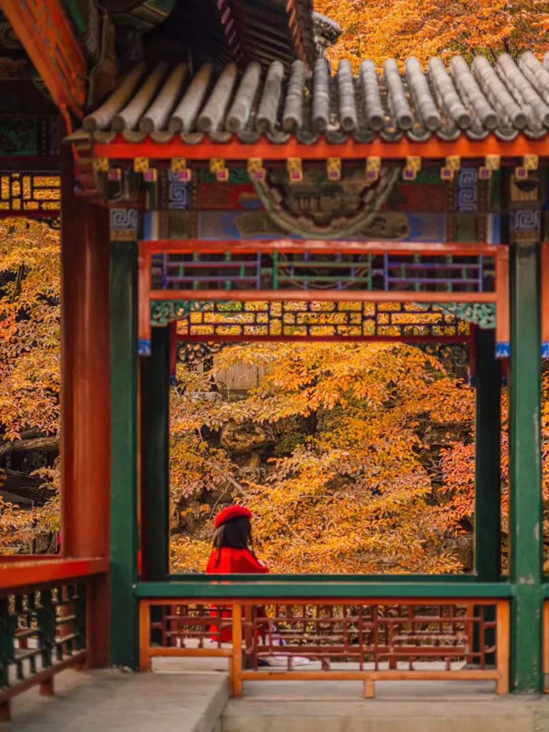 一入秋北京就变成了北平原文,一入秋北京就成了北平是谁说的