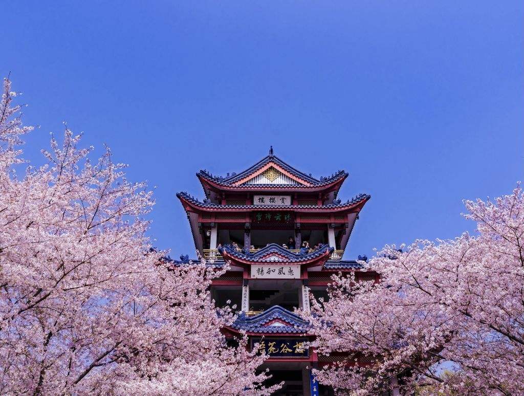 江苏家电永远的痛，从无锡小天鹅到佛山制造，本是全村人的希望