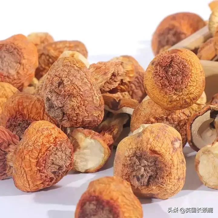 养生大法,养生法