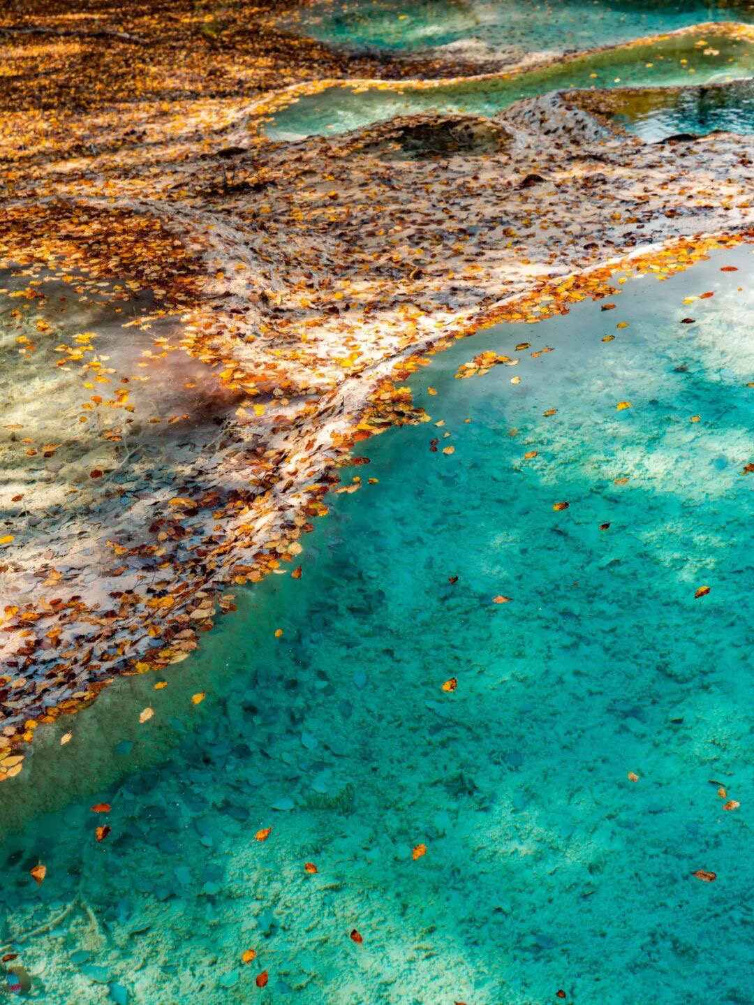 成都秋天一天游最佳地方,成都周边一日游自驾秋天