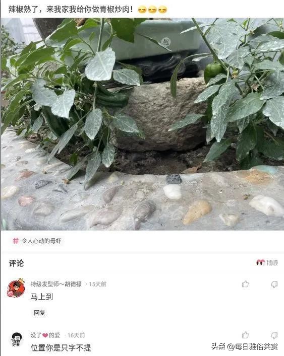 盐选神回复,盘点那些“盐选神回复”