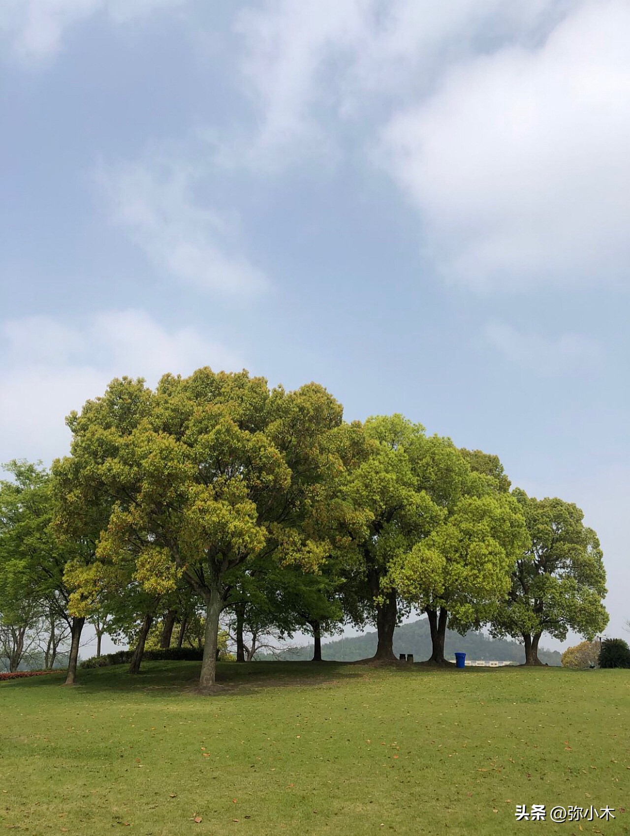 亲子游玩好去处孩子玩得很开心,上海带孩子亲子游十大排行榜