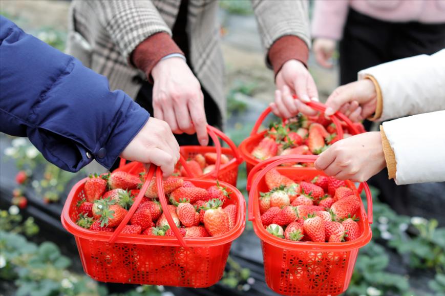 绍兴同城交友活动,绍兴单身交友活动