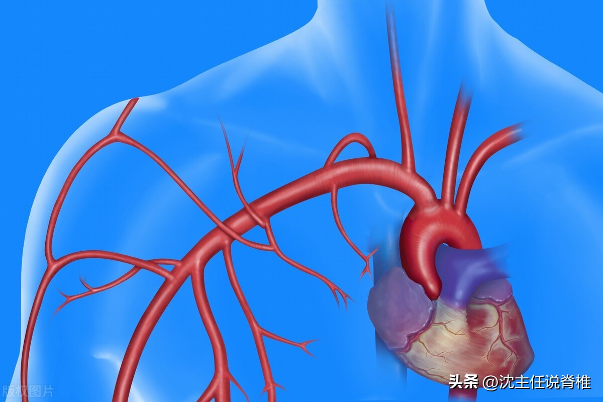 仰头肩膀牵扯痛怎么办,仰头手发麻怎么缓解