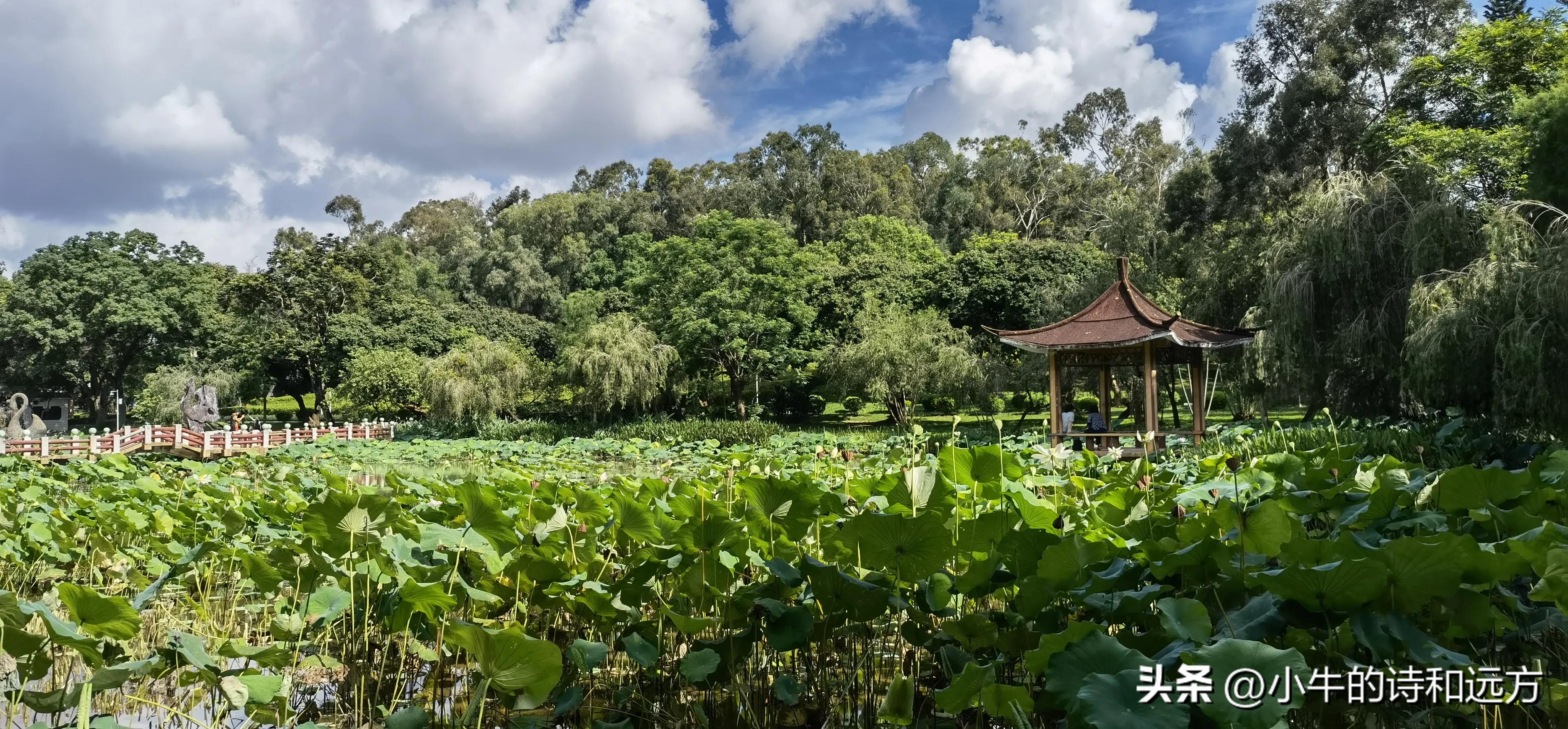 溜娃好去处就在紫谷萌宠乐园,青龙湖湿地公园遛娃攻略