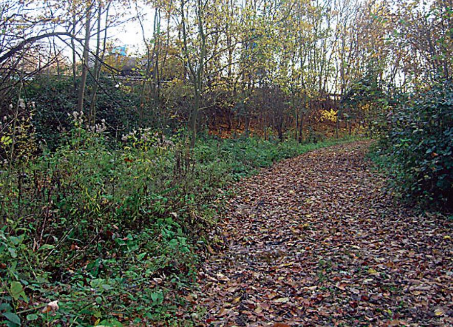 踩点两年，突破世界最安全金库，偷窃一亿美元钻石，他为何会被抓