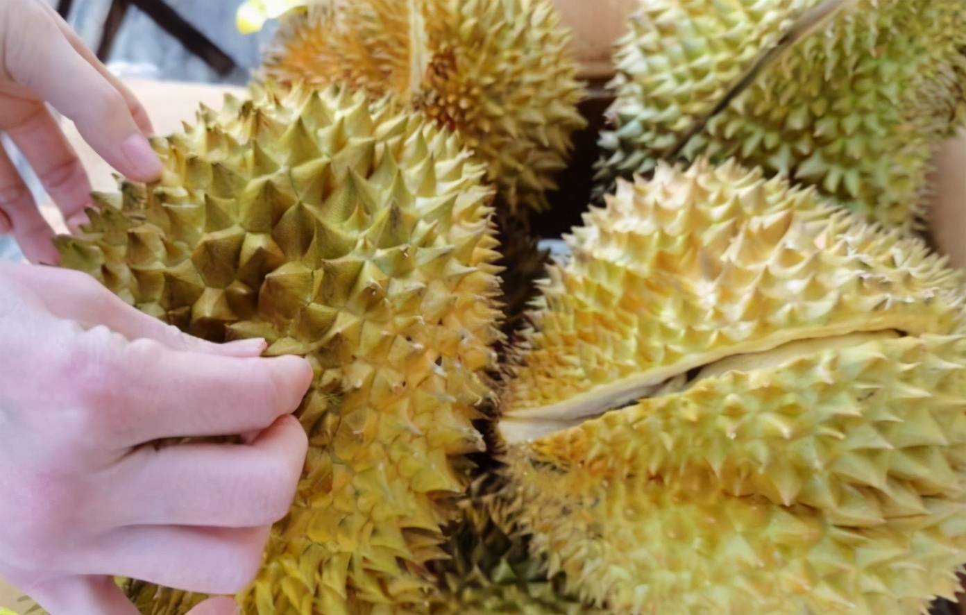 买榴莲不踩雷,牢记“4看1敲”,老板一看就知是内行,一挑一个准
