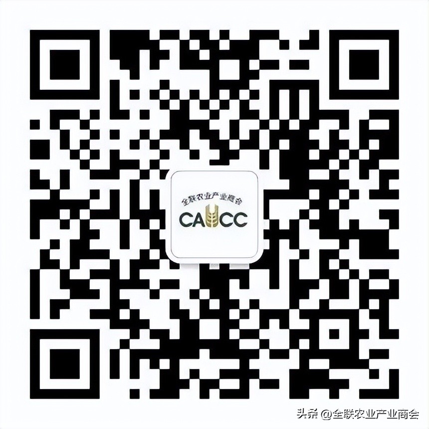 恒兴集团排名,广东恒兴集团排名第几