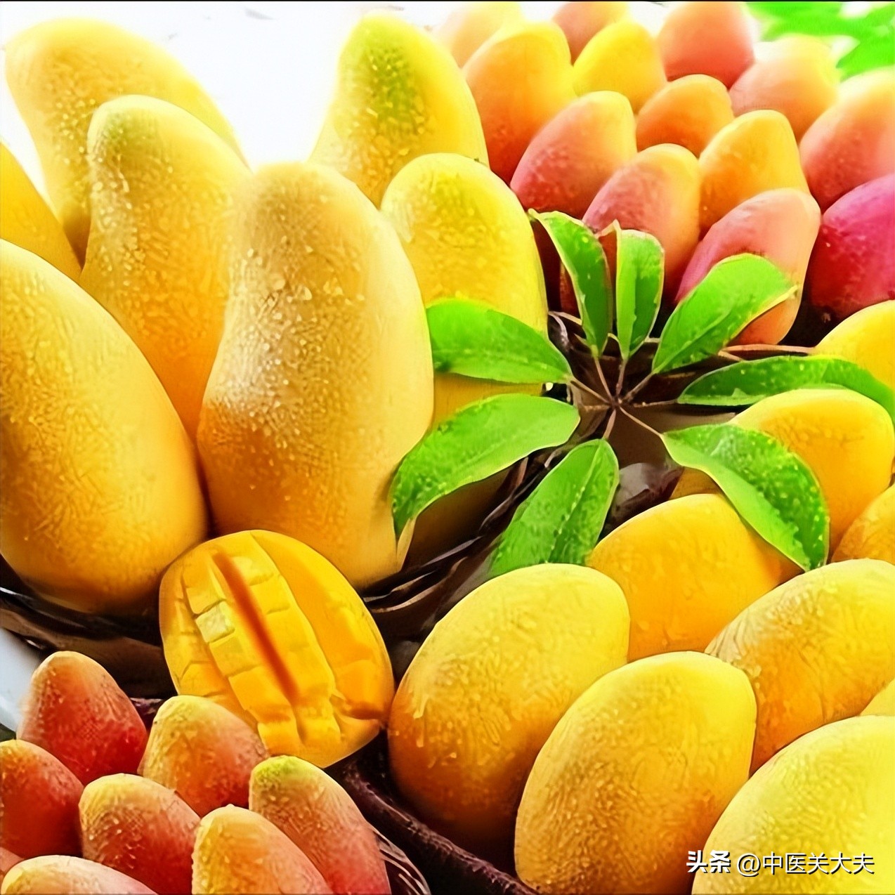 得了胰腺炎在饮食方面该怎么注意,狗狗得了胰腺炎饮食应怎样注意