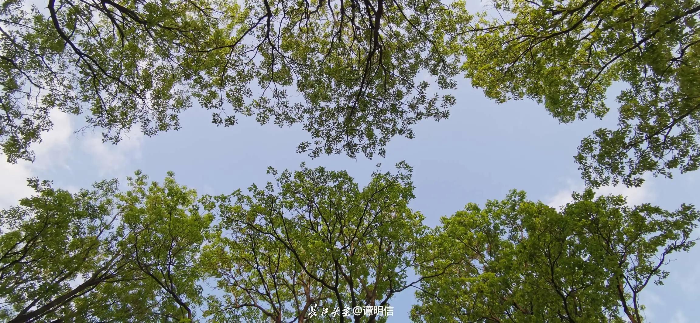 买基金最忌讳的一条,买基金犯什么错误