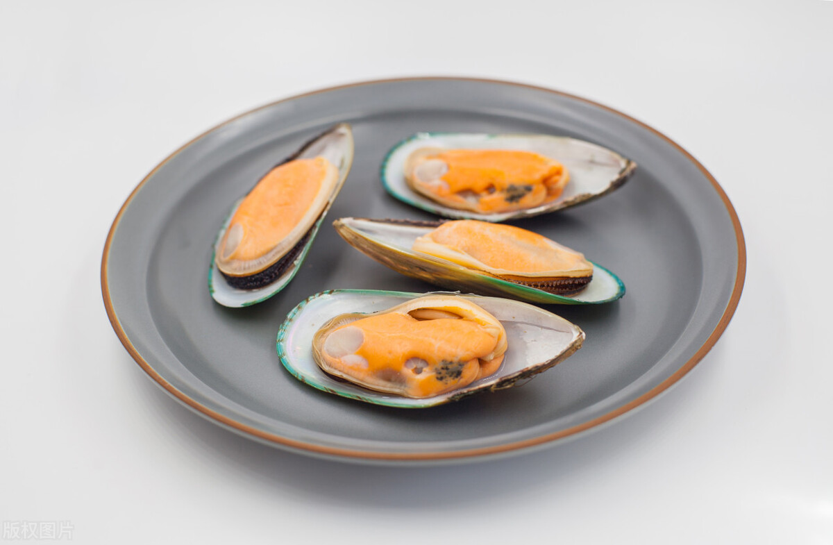 新鲜的青口贝能给狗狗吃么,青口贝喂狗怎么储存