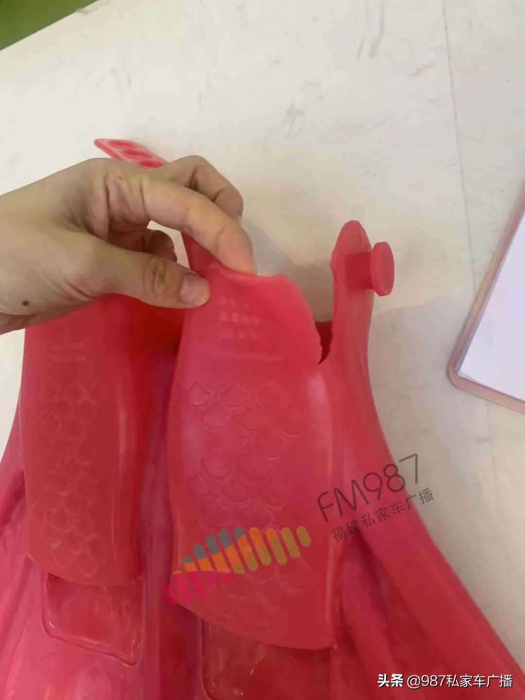 福建林女士,福建省林女士