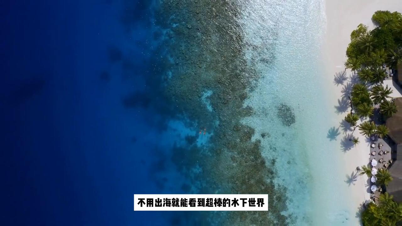 最推荐的马尔代夫岛,马尔代夫选岛真实感受