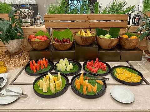 阿联酋丽思卡尔顿,阿联酋野奢帐篷