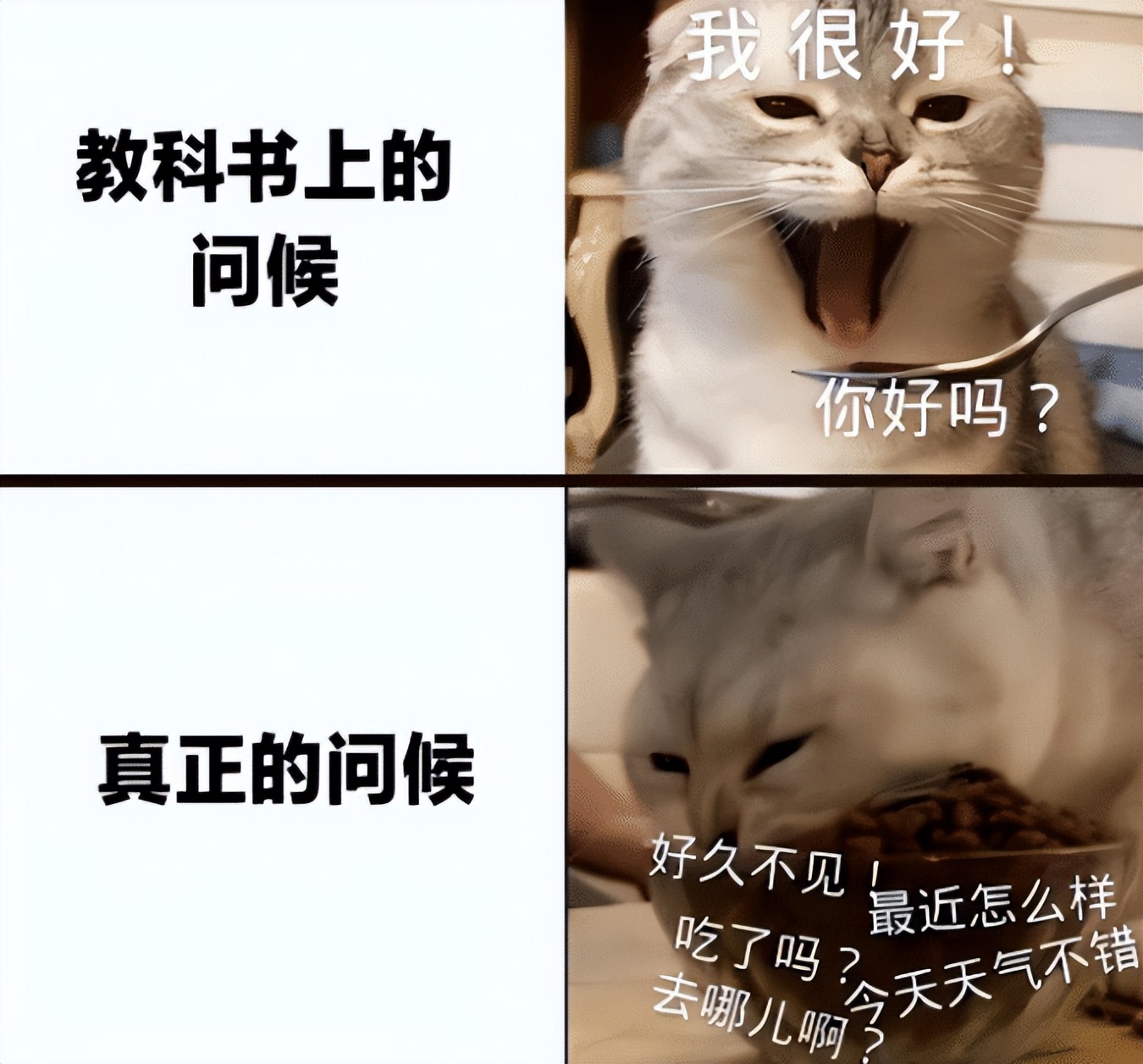 越南高考惊现中文题,“越南高考中文题”引热议