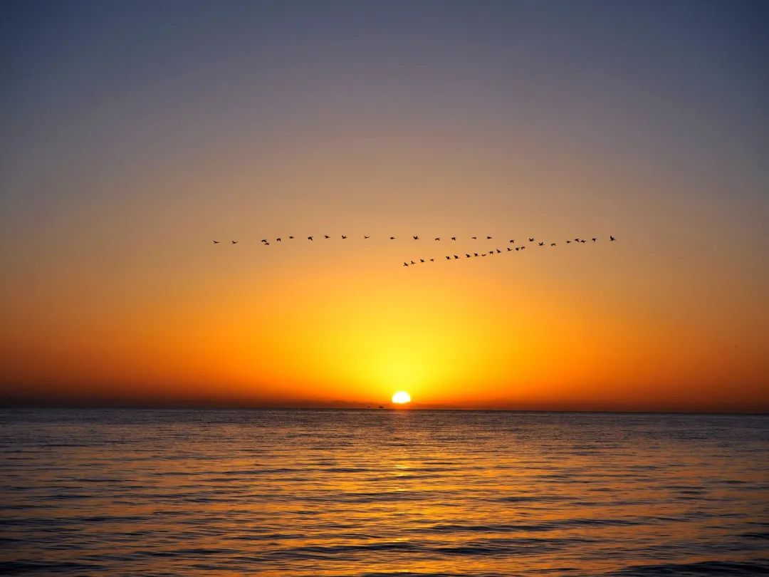 青海现在值得去吗,青海不容易去吗