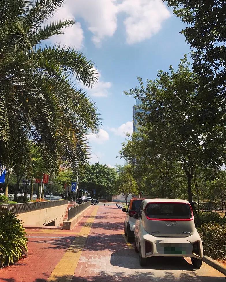 柳州10元一碗粉多菜,柳州最多配菜的螺蛳粉