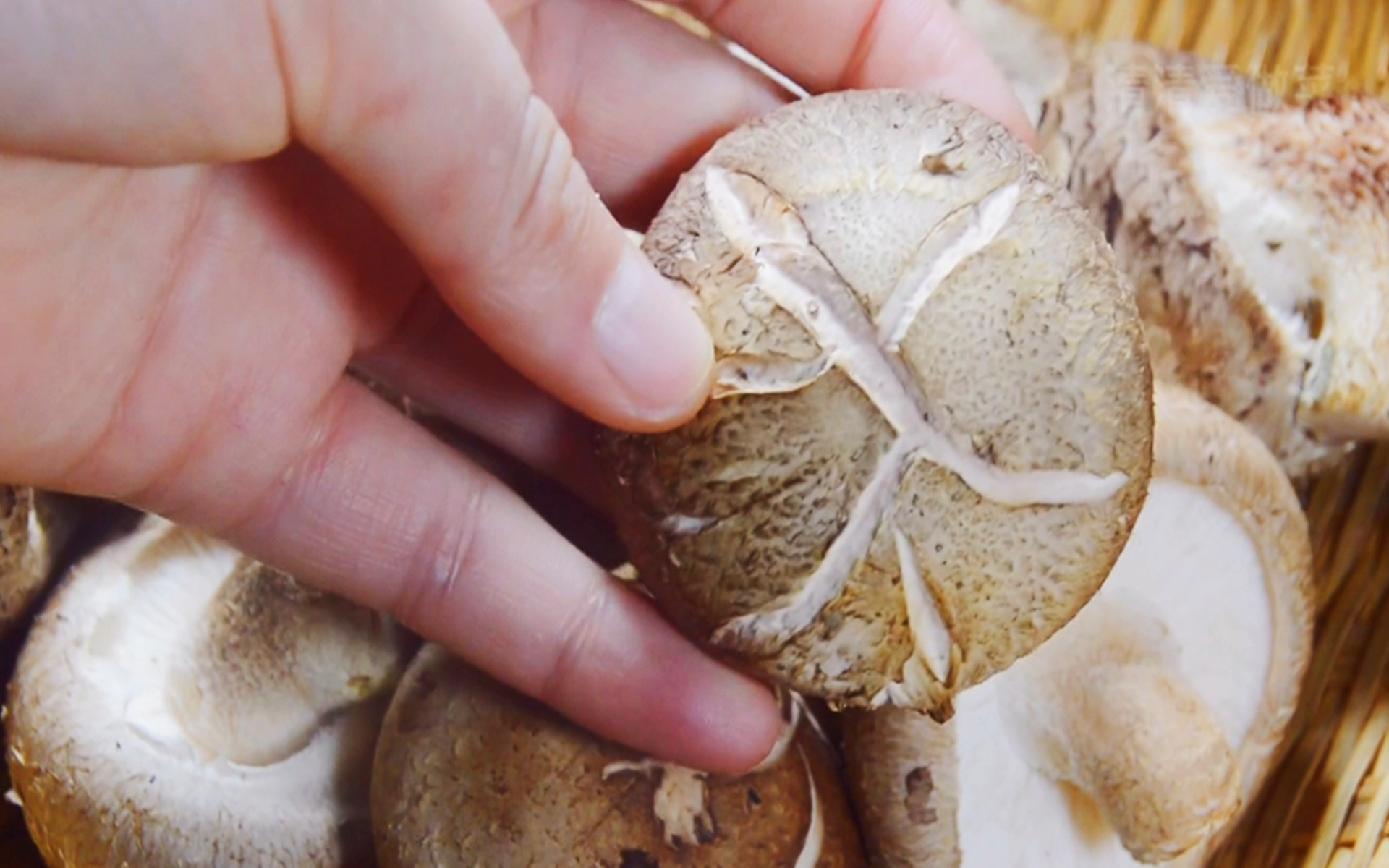 香菇四种不宜买,香菇的三大禁忌