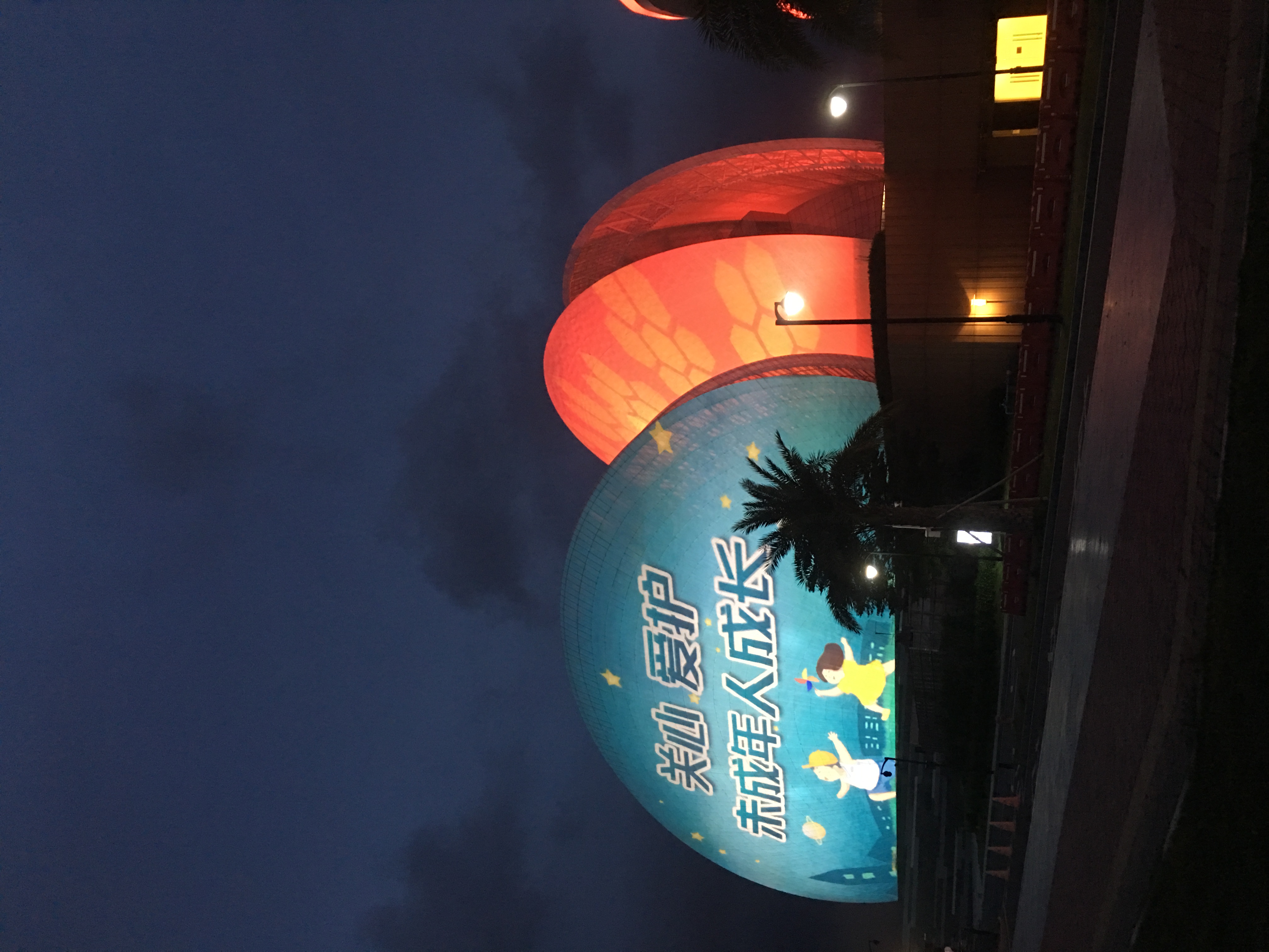 情迷珠海，最美海狸鸟