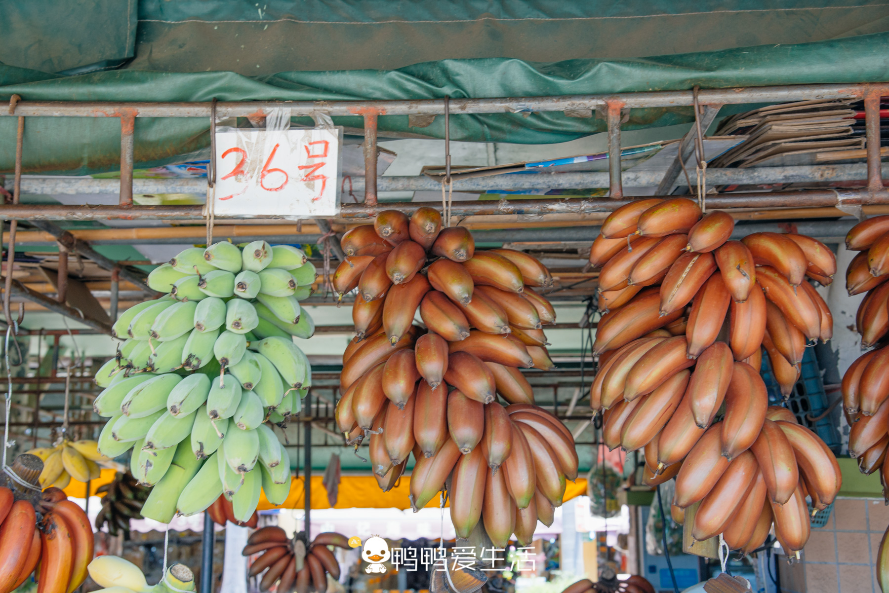 南沙十九涌渔人码头路边海鲜,广州十九涌海鲜码头