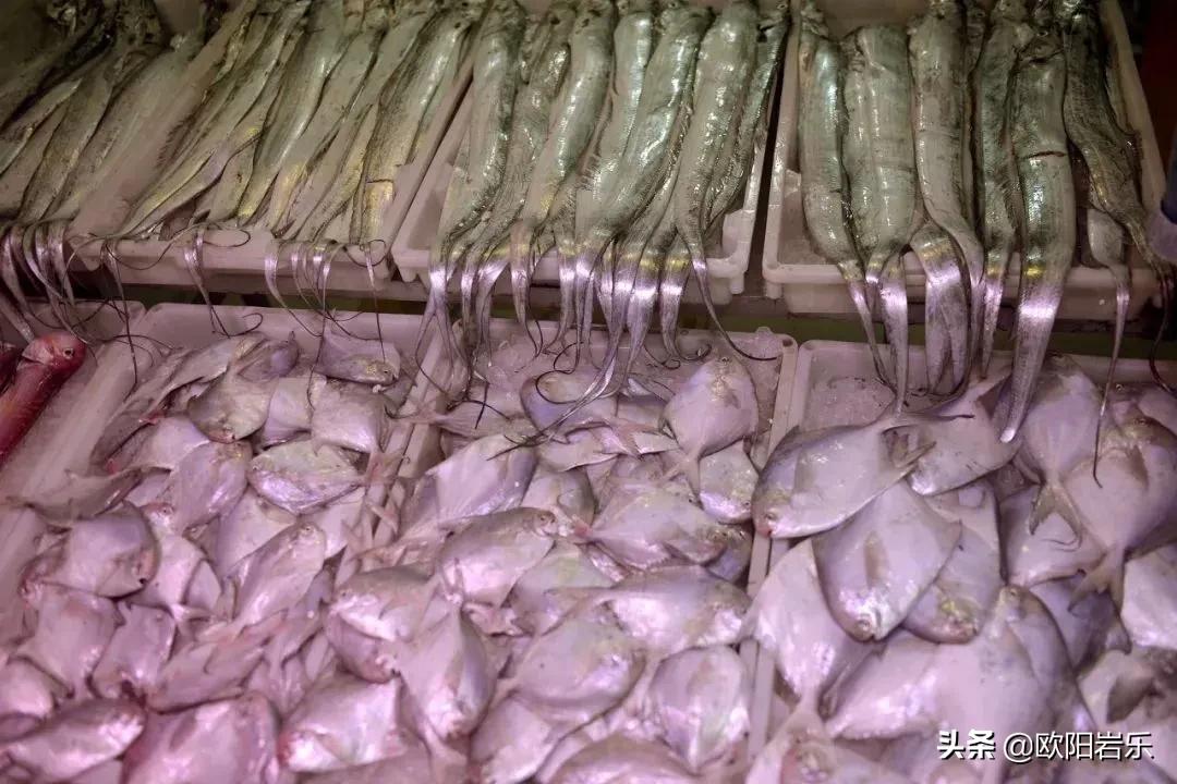 国内哪的海鲜最好吃,国内最适合吃海鲜的地方