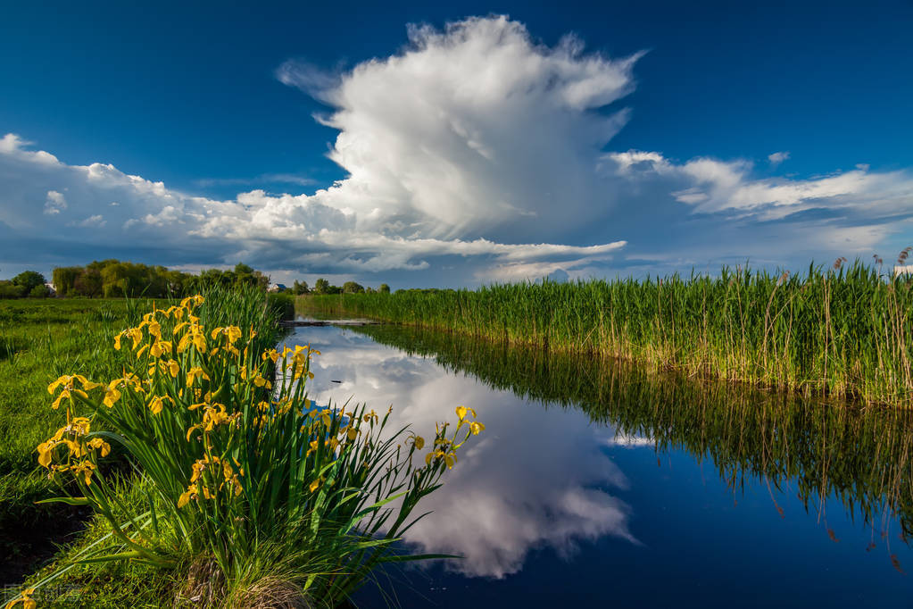 适合尾牙宴发朋友圈唯美文案,简单朋友圈文案短句干净阳光