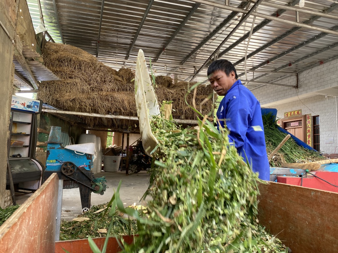 “养殖能手”汤安友：用勤劳的双手编织幸福人生