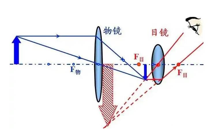 tipscope的数码望远镜价格,tipscope数码望远镜拆解