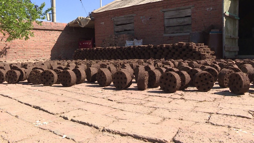 牛粪粪污处理工程,牛粪入沼气池变有机肥