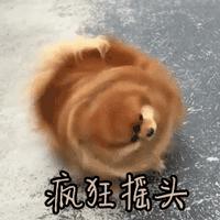 孕期长痘用的护肤品,孕妇长痘可以用祛痘的吗