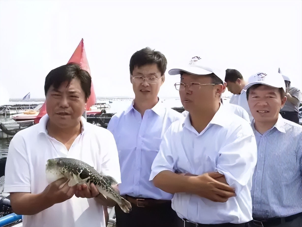 中国养殖河豚鱼,中国河豚鱼市场