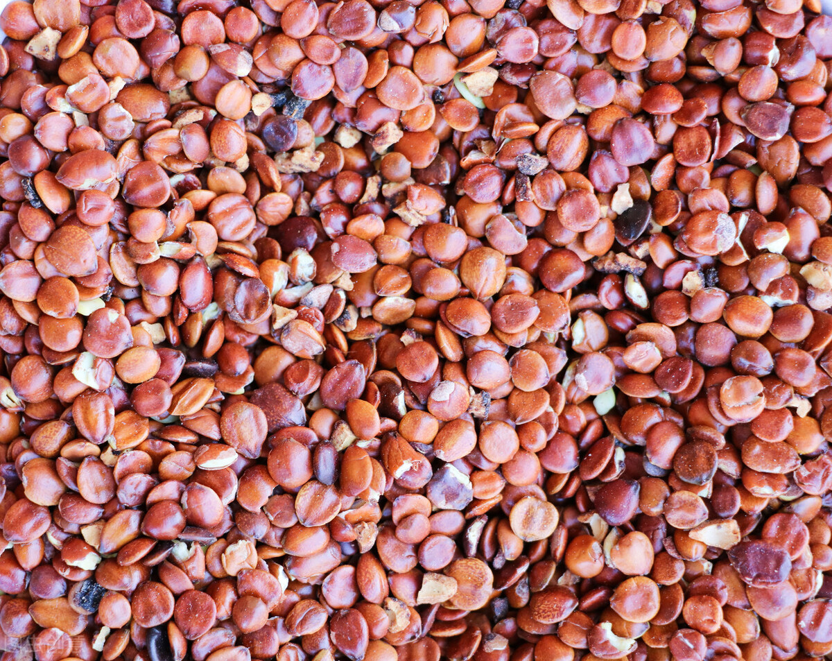 伤寒论桂枝龙骨牡蛎汤原方,伤寒论麻黄桂枝汤组方