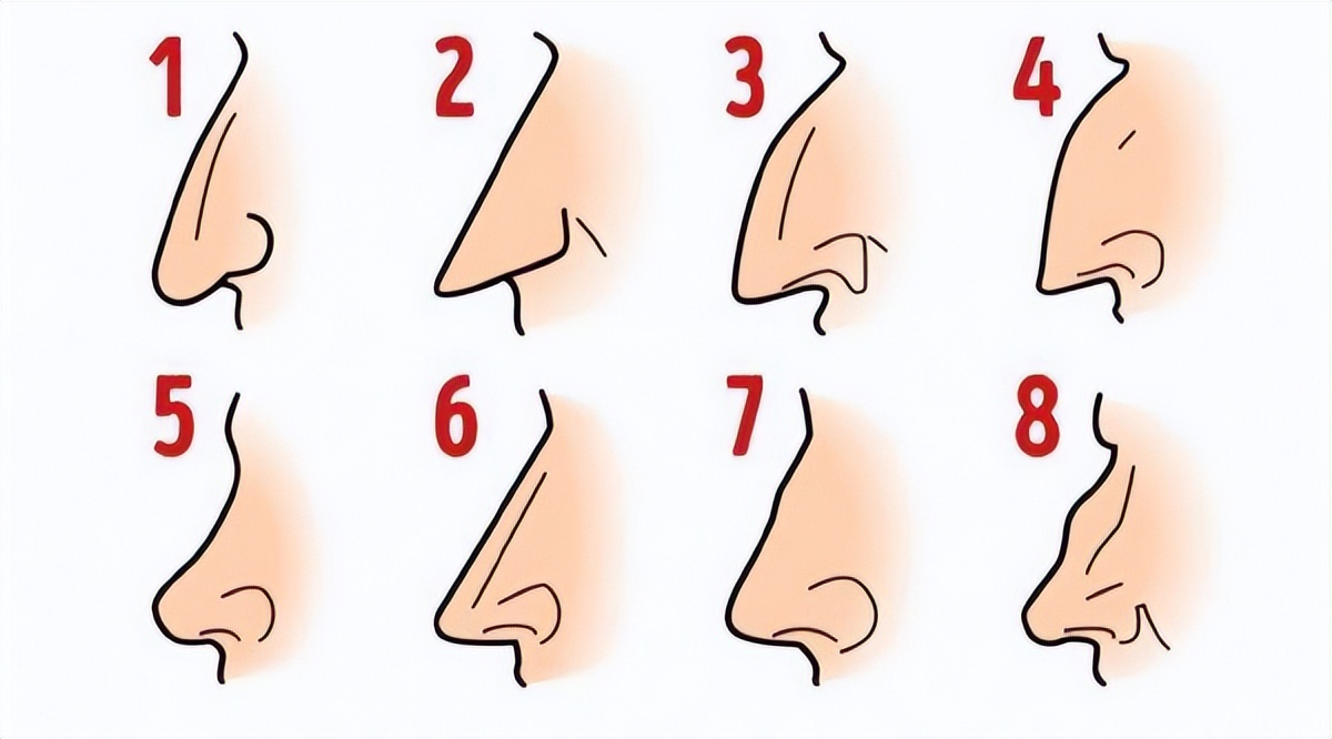 一个人的鼻子长相与人有关系吗,鼻子类型和性格的关系是什么