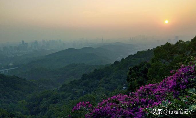 白云山避暑民宿,白云山风景区民宿推荐