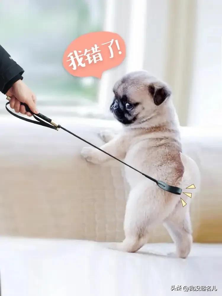 韩国人怎么对待在韩国的中国人,韩国为什么歧视女性