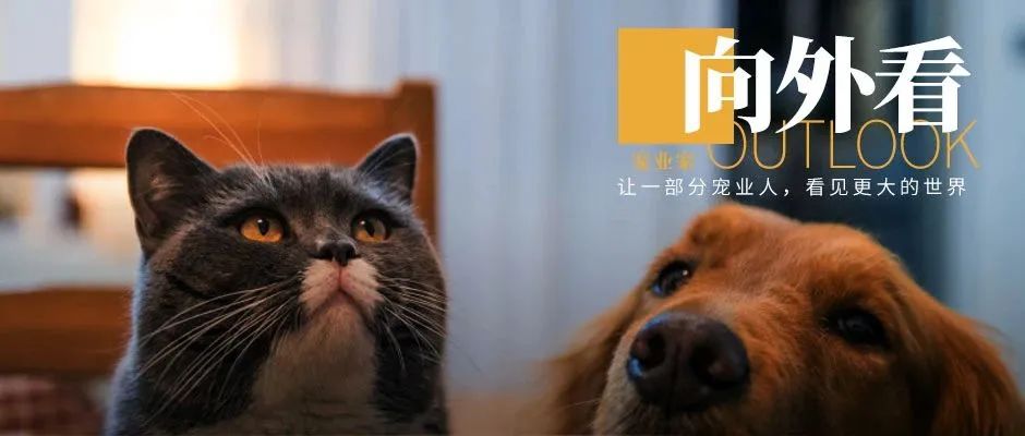 京东双12招商规则；天猫国际全球直播联盟成立；丨向外看
