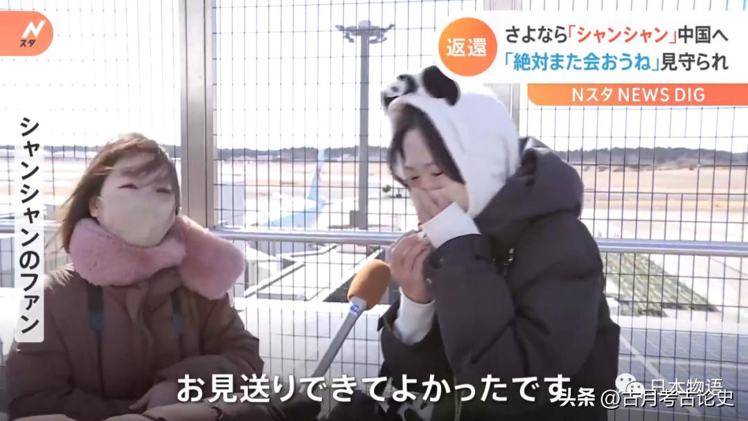 旅日大熊猫回国日本人反应,四只旅日大熊猫陆续归国